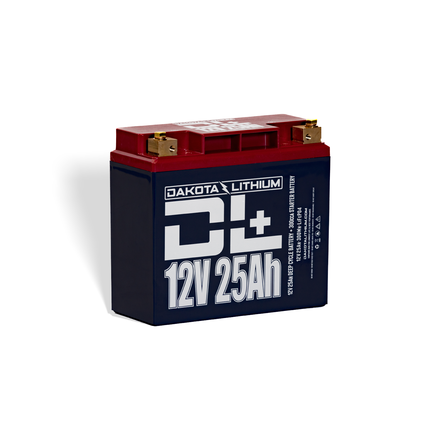 DL+ 12V 60Ah Dual Purpose 1000CCA LiFePO4 Battery